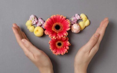 Miért fontos a bélflóra egészsége a női hormonok szempontjából?